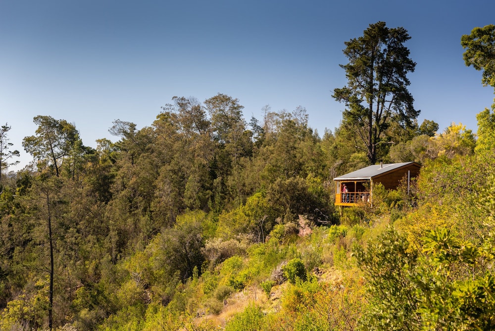 Cliffhanger Cottages in Knysna, South Africa