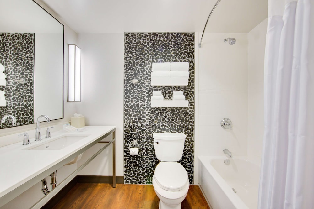 Hilton Garden Inn North Houston Spring - photo 18