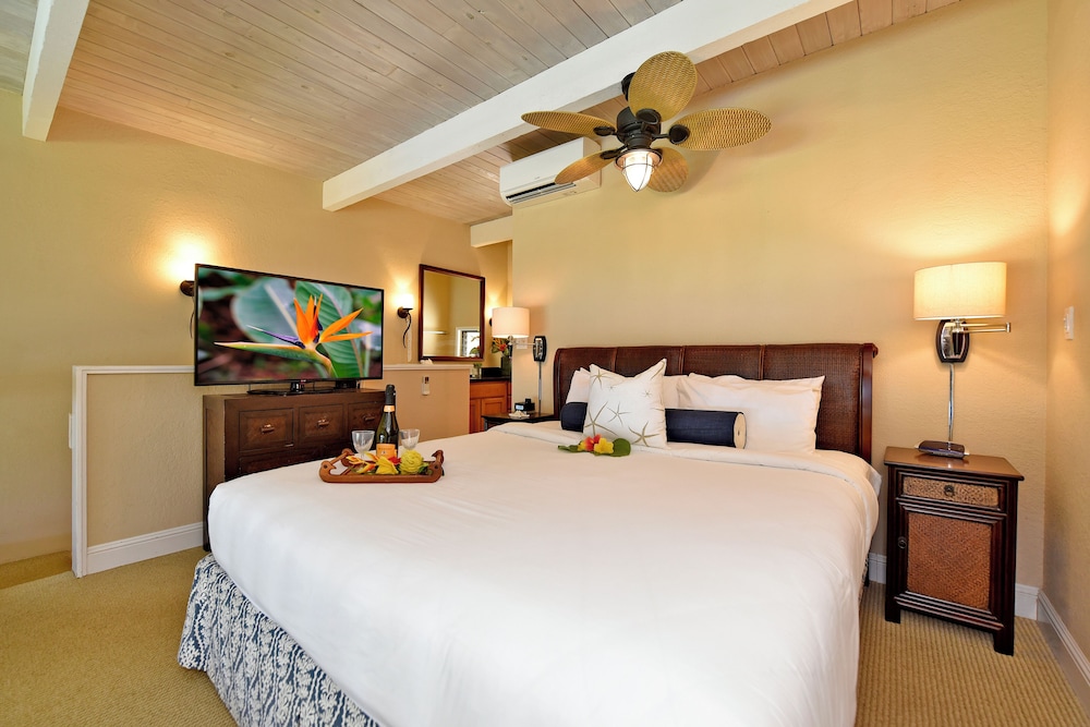Napili Point C40 NP C40 Beautiful OceanFront 2BD Ocean View AC - photo 29