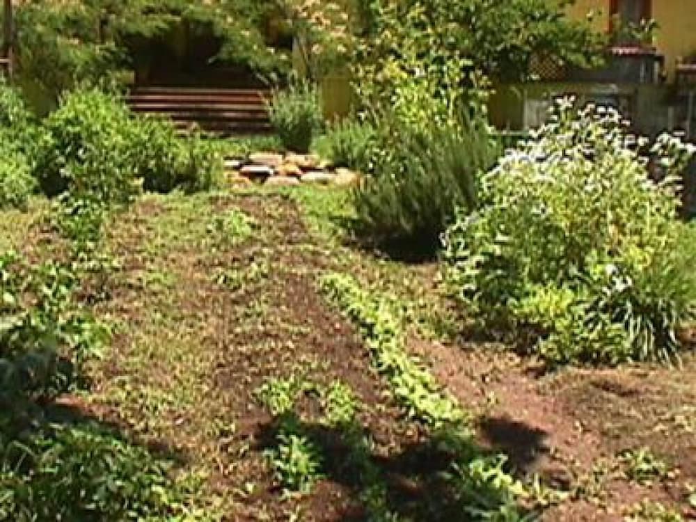Backyard Garden Oasis - photo 61