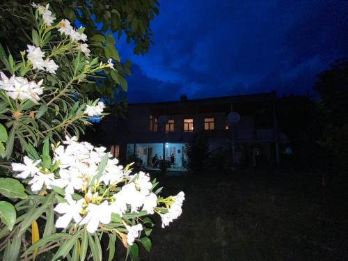 Guest House Shateau