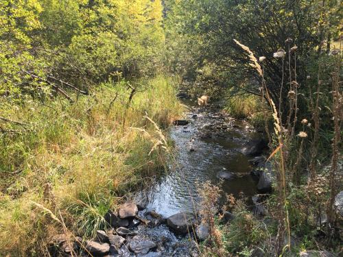 Priceless Black Hills View - photo 47