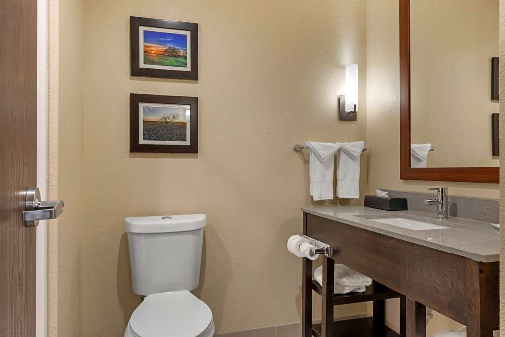 Comfort Inn & Suites Euless DFW West - photo 19