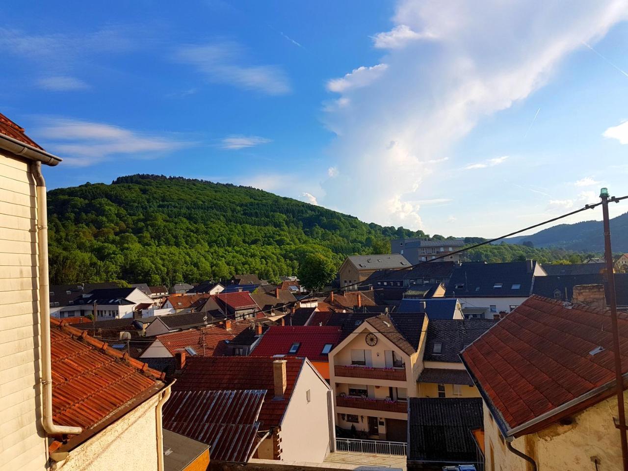 Ein Trip in Die Natur