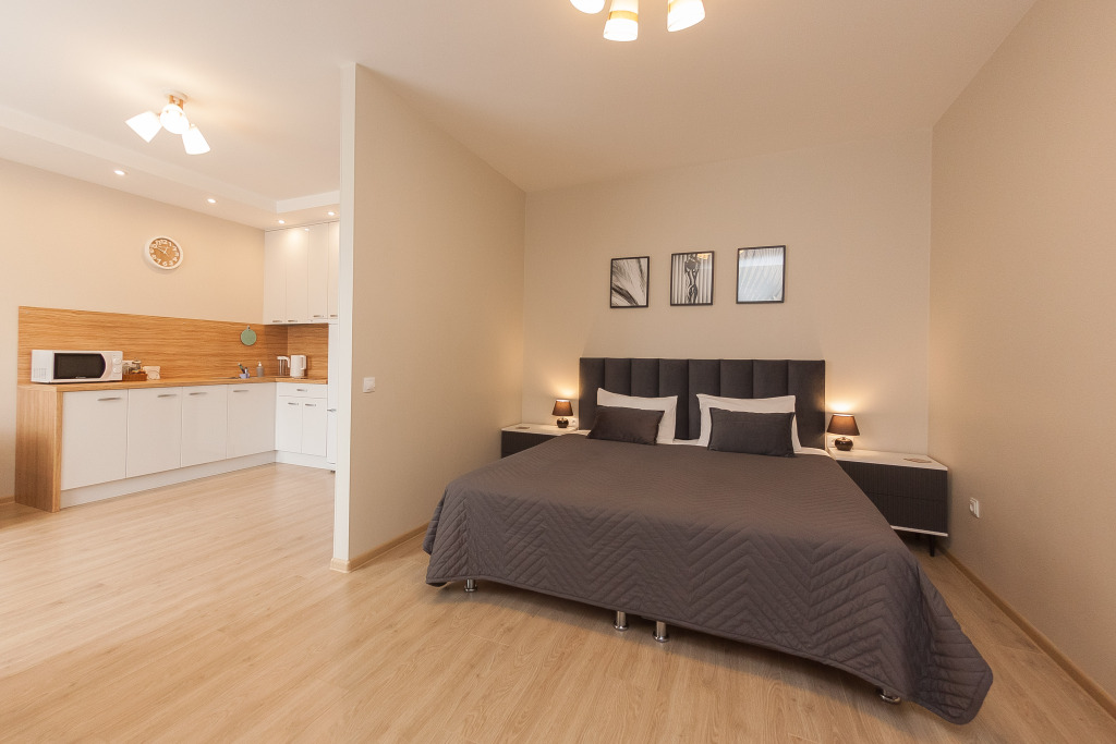 Prostornaya Studiya V Tsentre Flat in Petrozavodsk, Russia