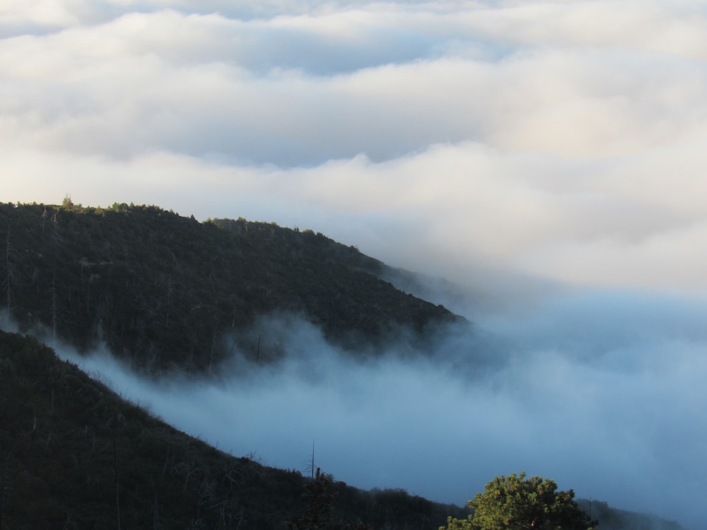 The Sky View Inn - photo 57