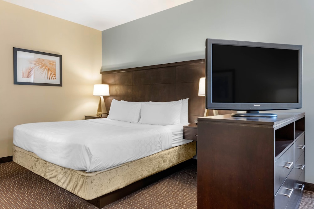Staybridge Suites St. Petersburg Downtown by IHG - photo 29