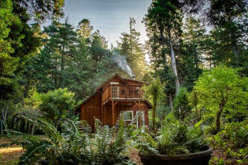Magical Redwood Getaway Outdoor Tub & Dog Friendly — 4-Star Luxury Hotel in Fort Bragg, United States
