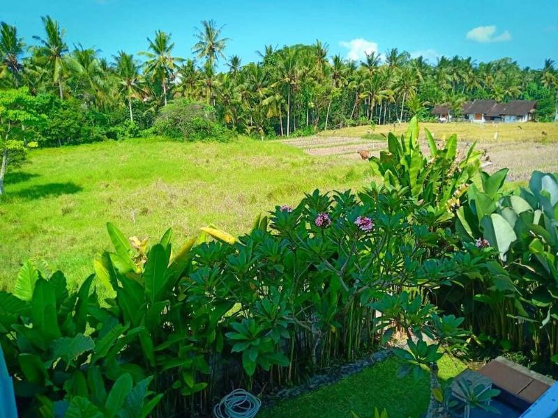 Uma Kutuh 2 — Ubud — photo 3