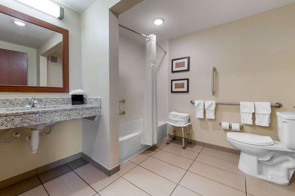 Comfort Suites and Conference Center - photo 26