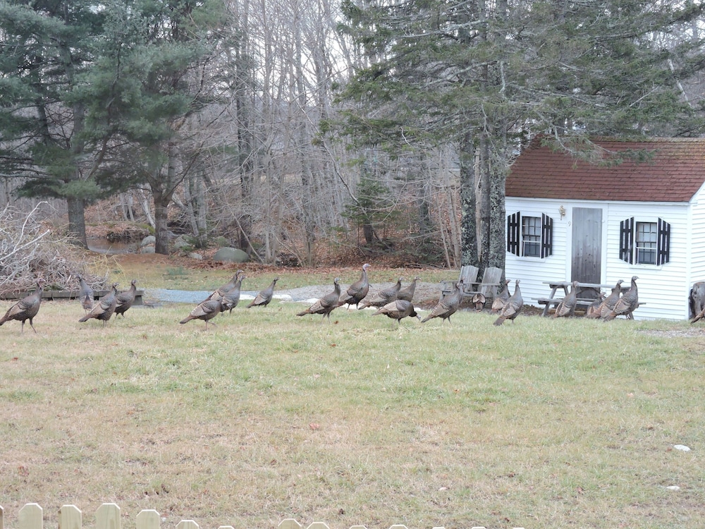 Open Hearth Inn - photo 31