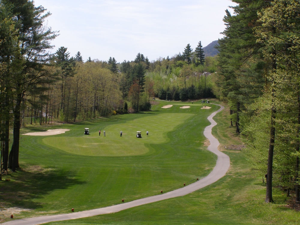 The White Mountain Hotel & Resort - photo 19