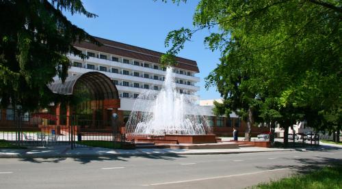 Sindika Spa Hotel in Nal'chik, Russia