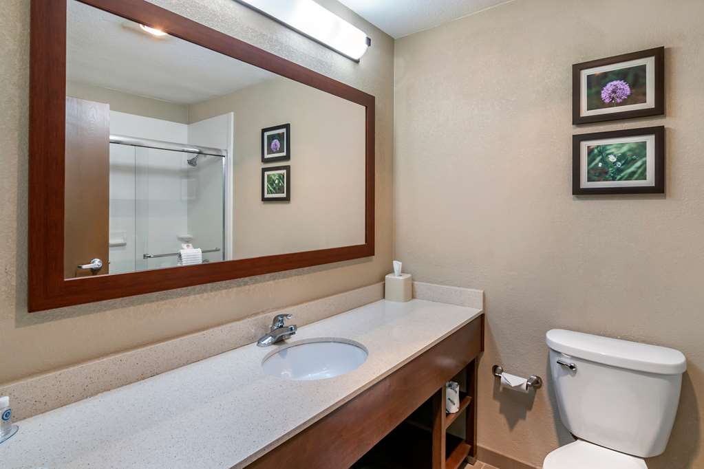 Comfort Inn & Suites Junction City near Fort Riley - photo 16