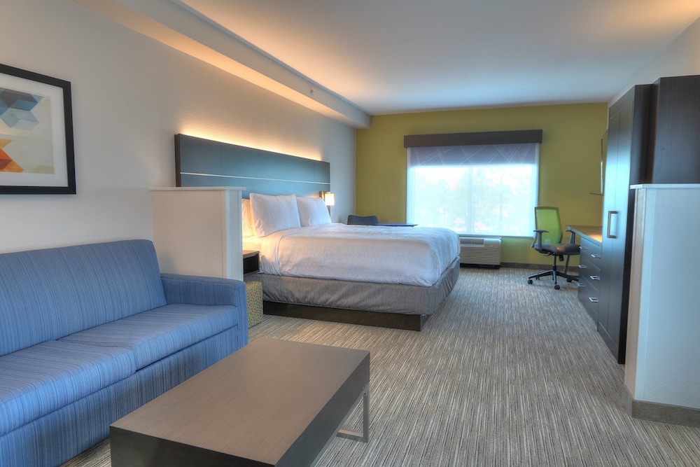 Holiday Inn Express Hotel & Suites Mobile Saraland by IHG - photo 28