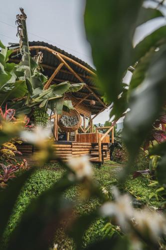 The Coffee Club Campestre — hotel in Chinchina