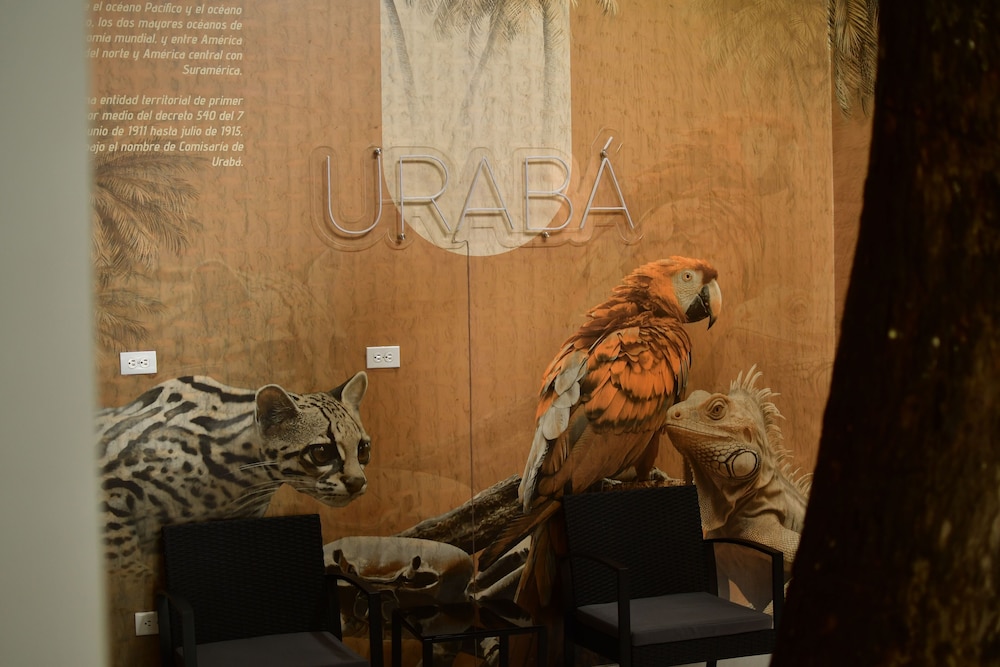 Hotel Boutique Palma Arena — Turbo — photo 4
