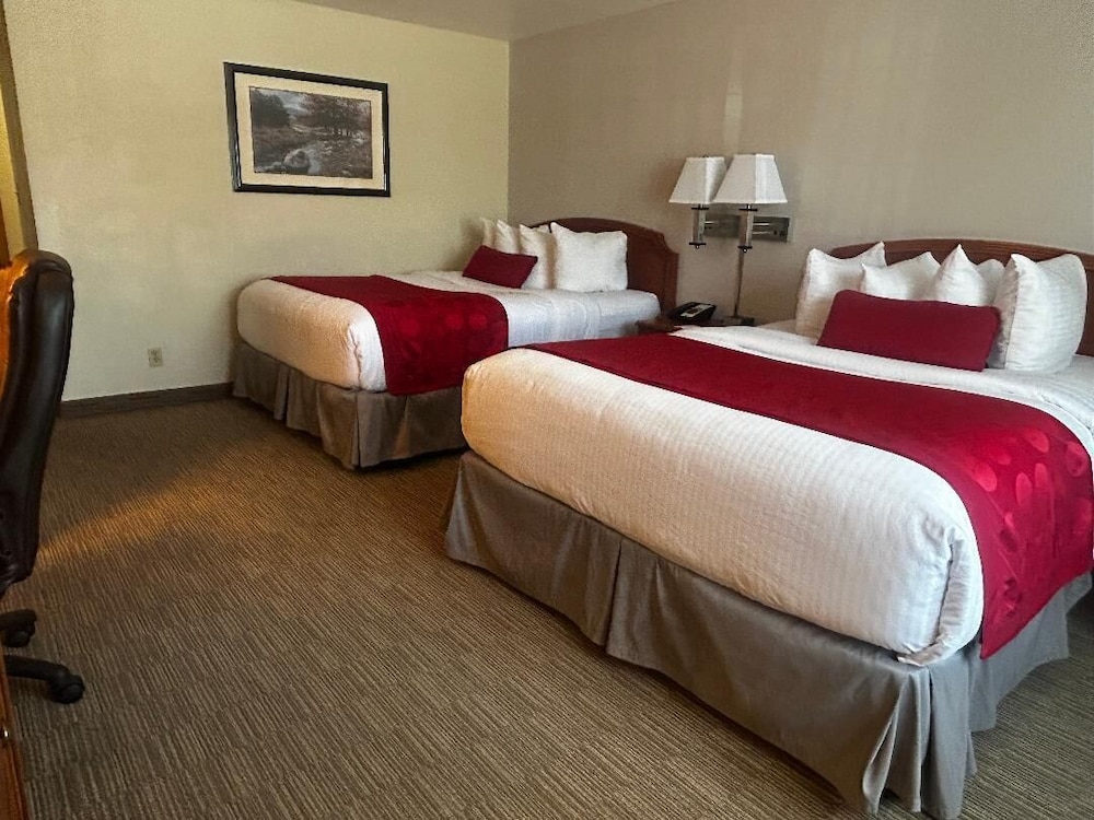 Ramada By Wyndham Ely - photo 8