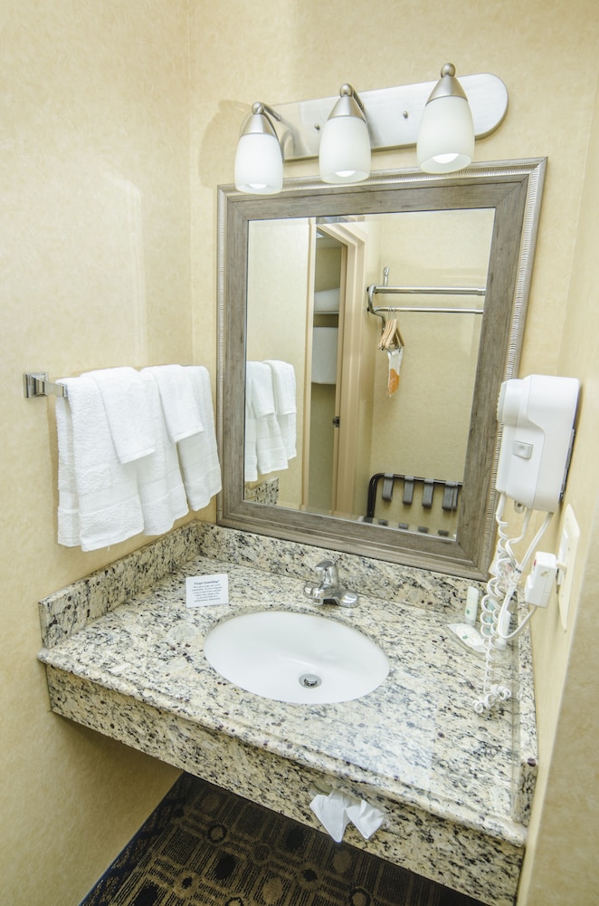 Quality Inn & Suites Coldwater near I 69 - photo 6