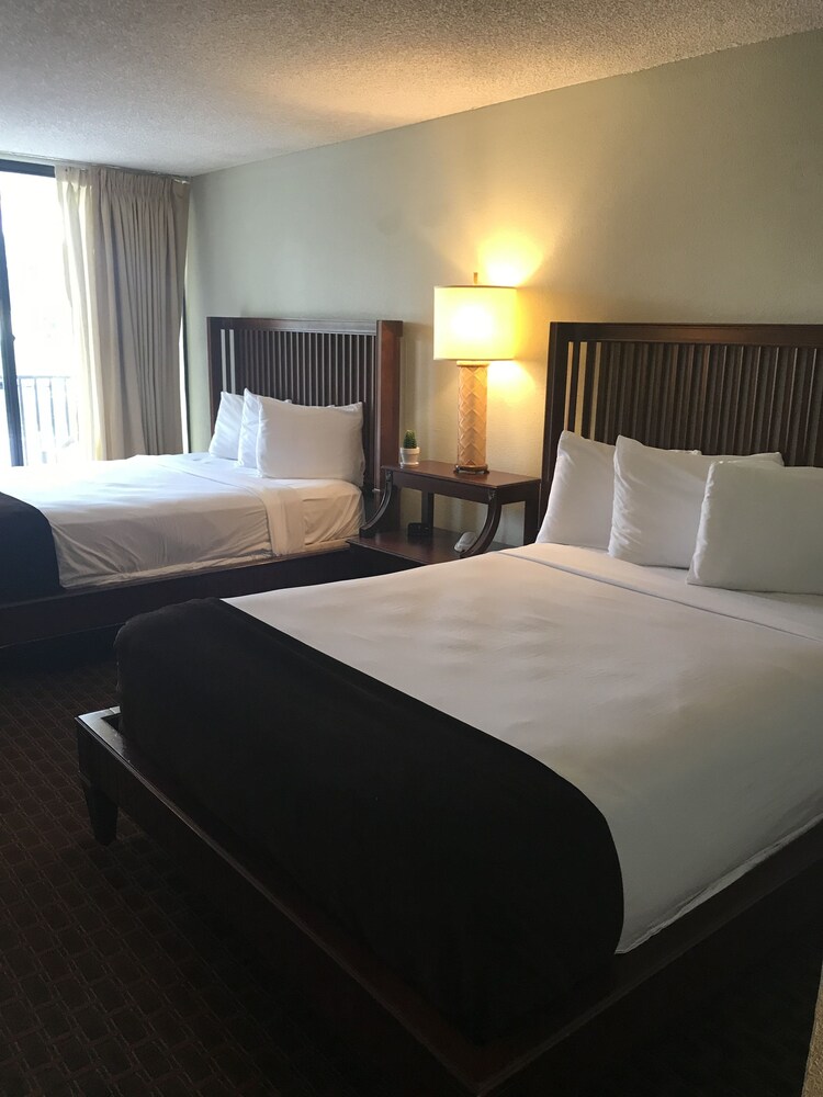 Vista Inn Lake Tarpon - photo 18
