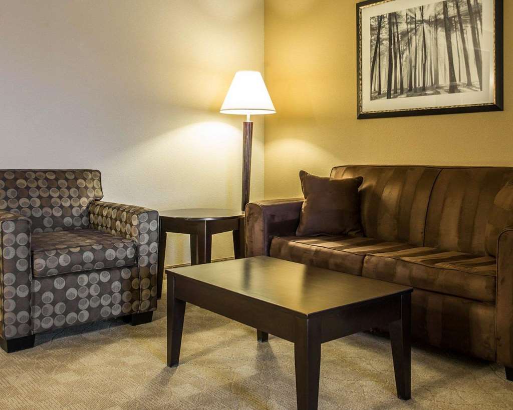Comfort Suites Huntersville near Lake Norman - photo 17