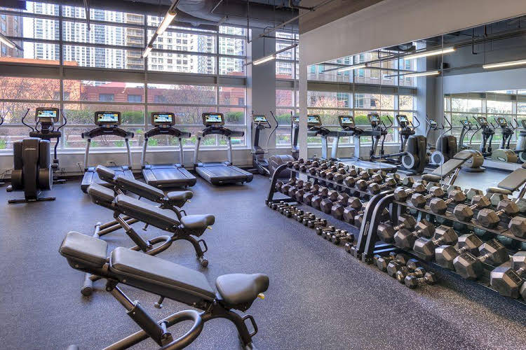 Premier Luxury Suites - photo 22