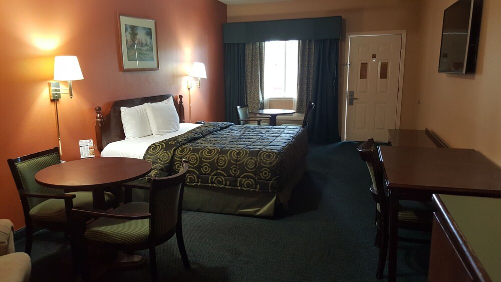 Texas Inn Alamo - photo 3
