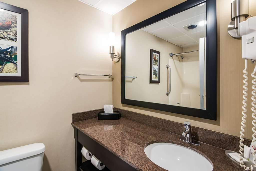 Clarion Pointe Jamestown Falconer - photo 21