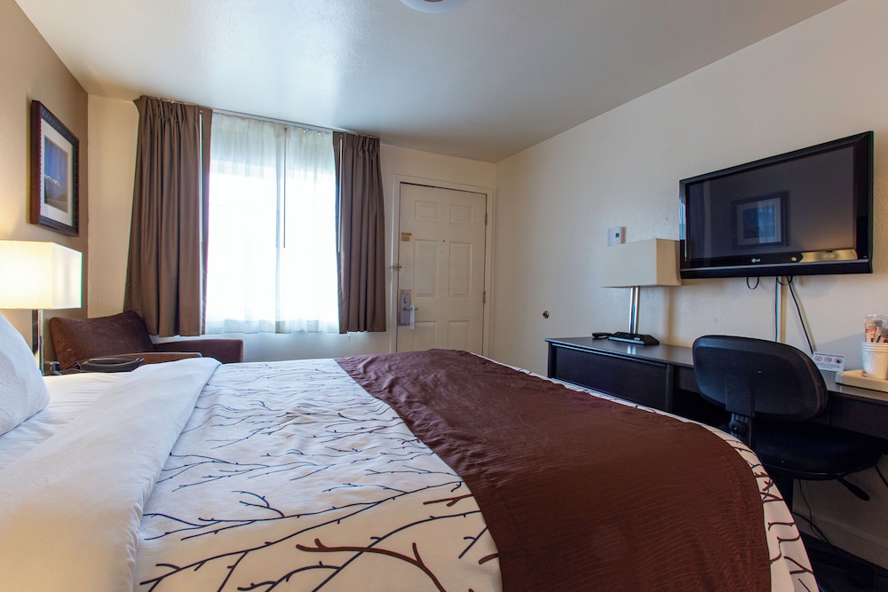 Uptown Inn - photo 6