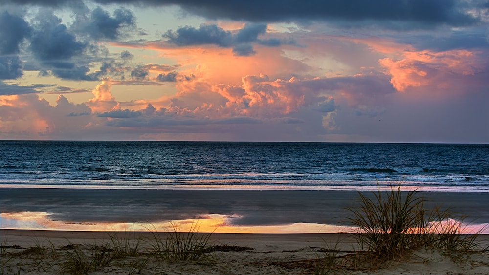Disney's Hilton Head Island Resort - photo 43
