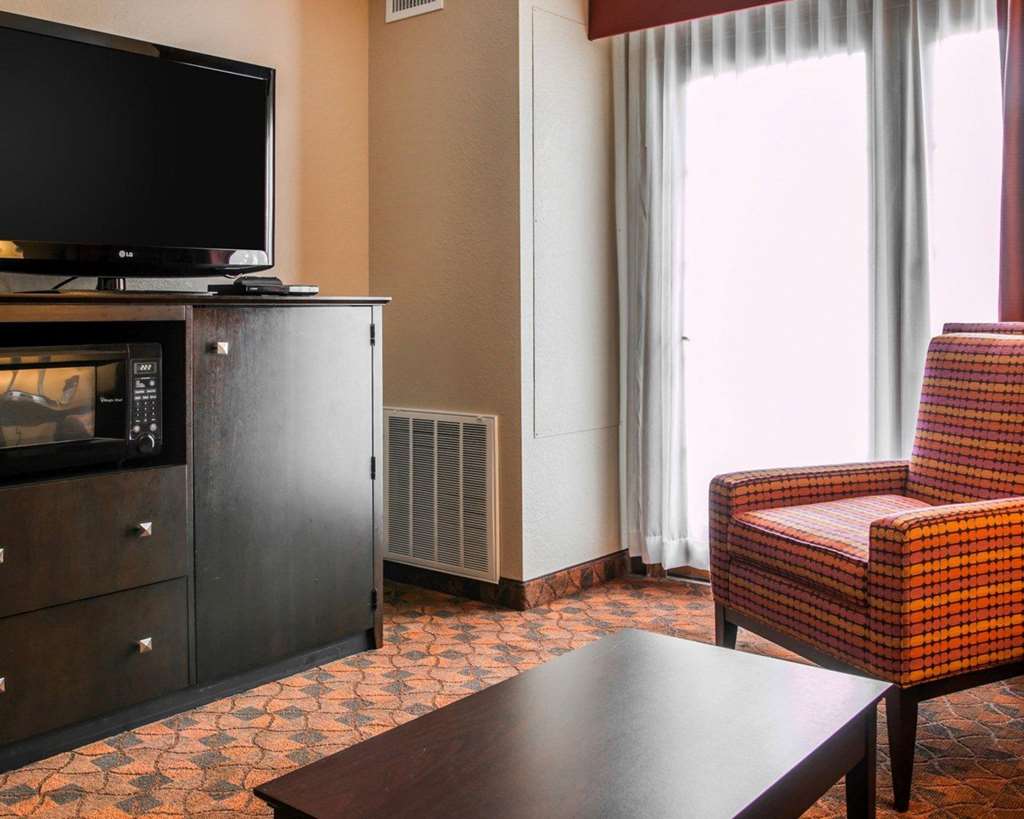 Comfort Inn & Suites and Conference Center - photo 15