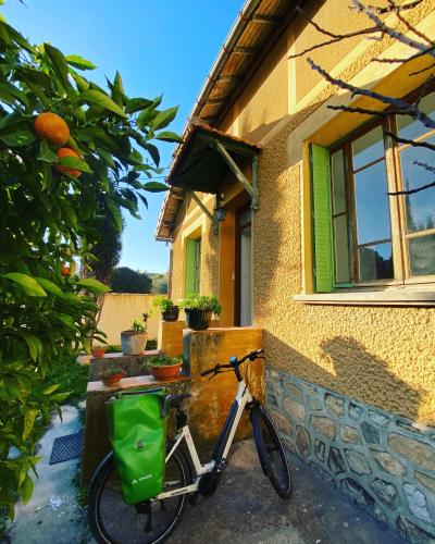 L’oranger in Nyons, France