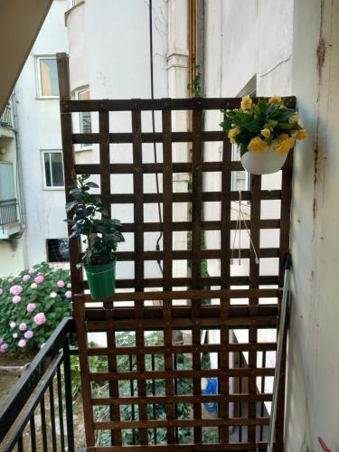 Spiros Home — Preveza — photo 2