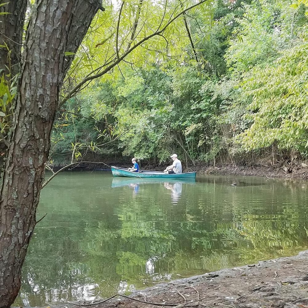 Savannah's Meadow - photo 41