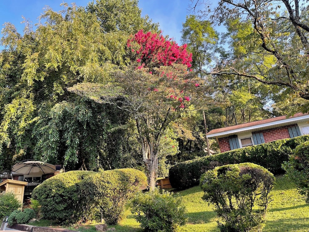 Mountain Aire Cottages & Inn - photo 246