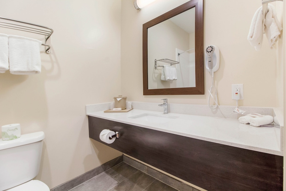 Red Roof Inn Houston Willowbrook - photo 29