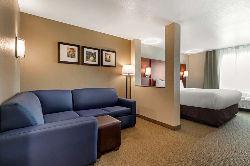 Comfort Inn & Suites Euless DFW West - photo 15