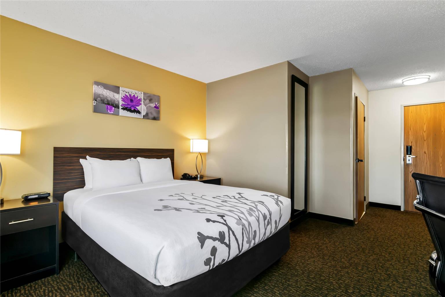 Sleep Inn Fayetteville North - photo 19