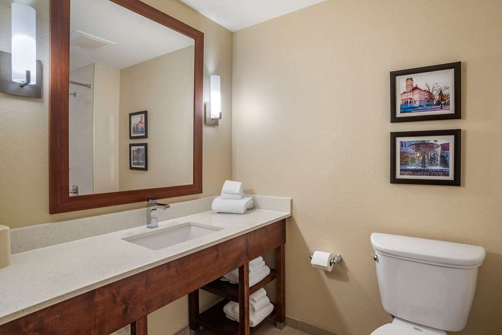 Comfort Inn & Suites Harrisonburg - photo 15