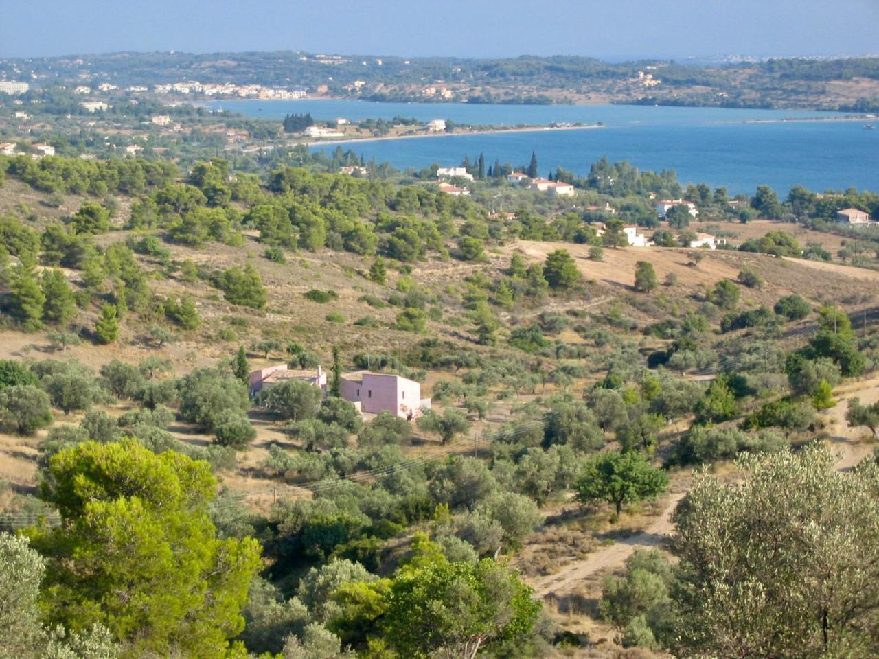 Roxanne's Olive Grove House — 4-Star Luxury Hotel in Kranidi, Greece