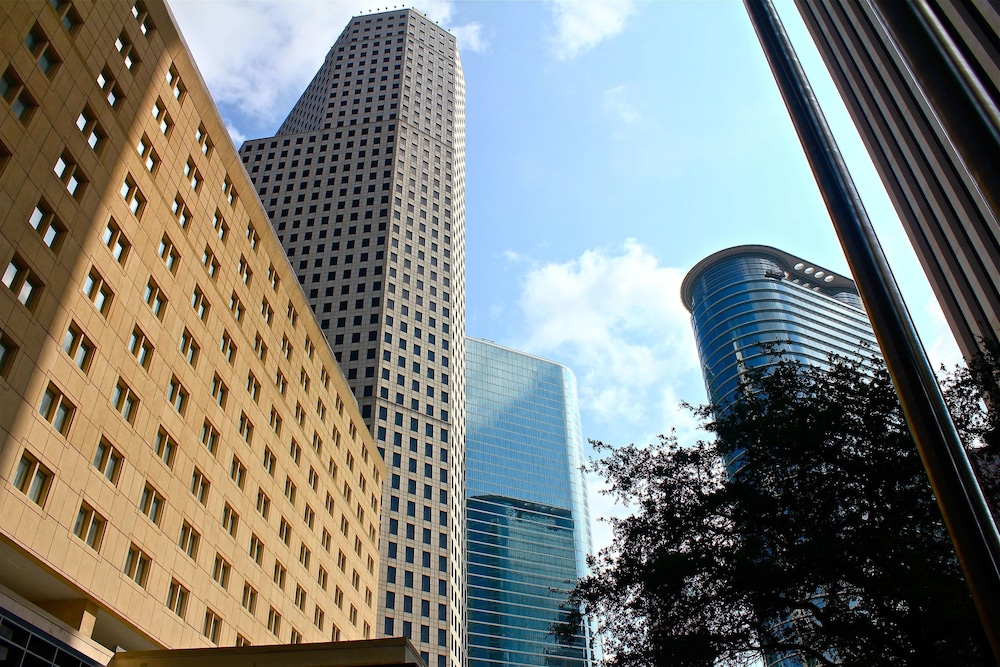 The Whitehall Houston - photo 67