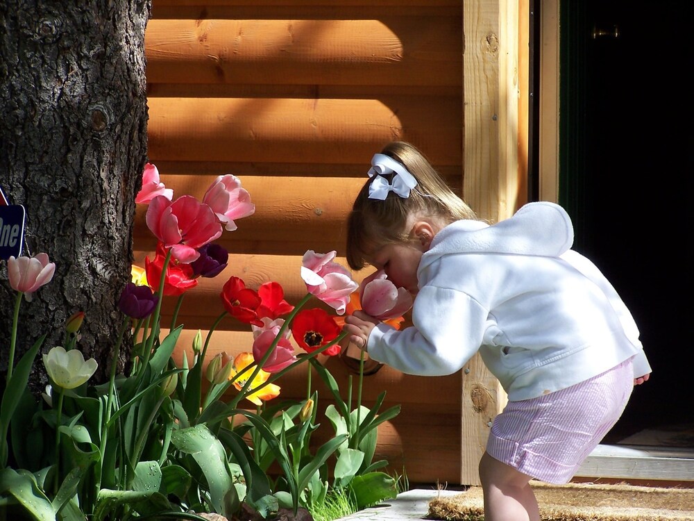 Golden Bear Cottages - photo 123