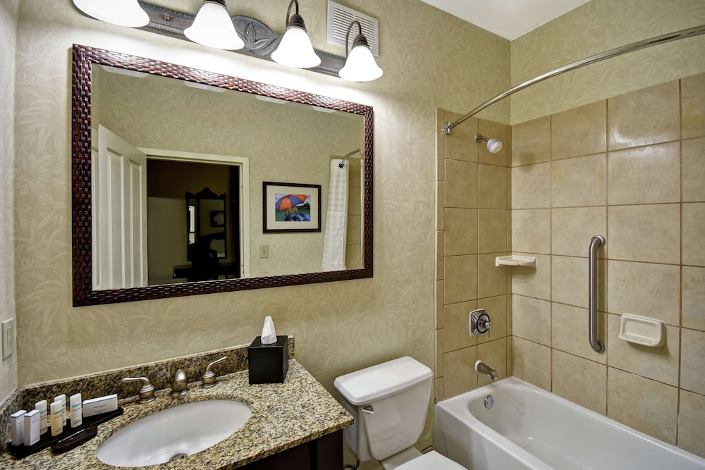 Embassy Suites by Hilton Charleston Historic District - photo 25