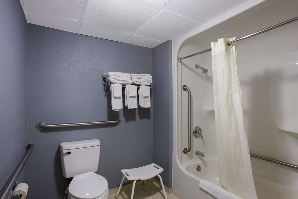Quality Inn & Suites Big Rapids near University - photo 7