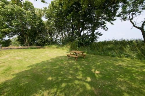 Skyber Barnacott — Bude — photo 2