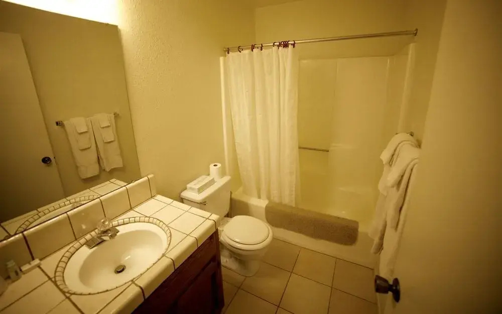 Hotel Charlotte Vacation Rentals - photo 8