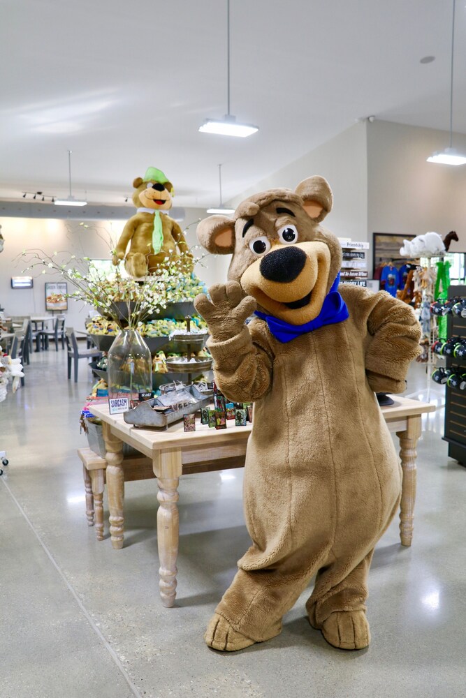 Yogi Bear's Jellystone Park Camp Resort - photo 46