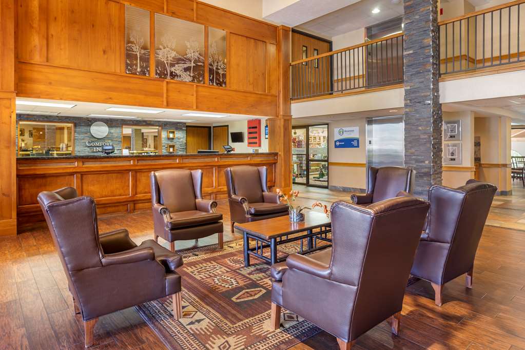 Comfort Inn at Thousand Hills - photo 4