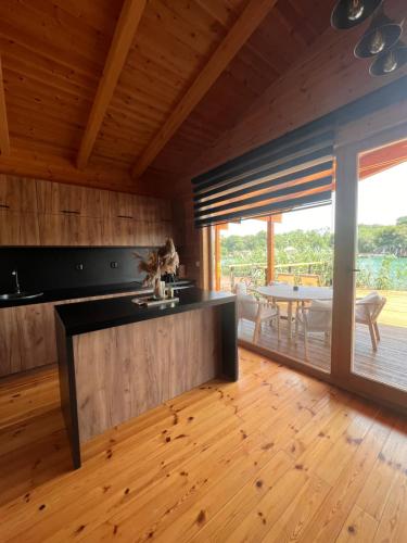 Gold Fish in Podgorica, Montenegro