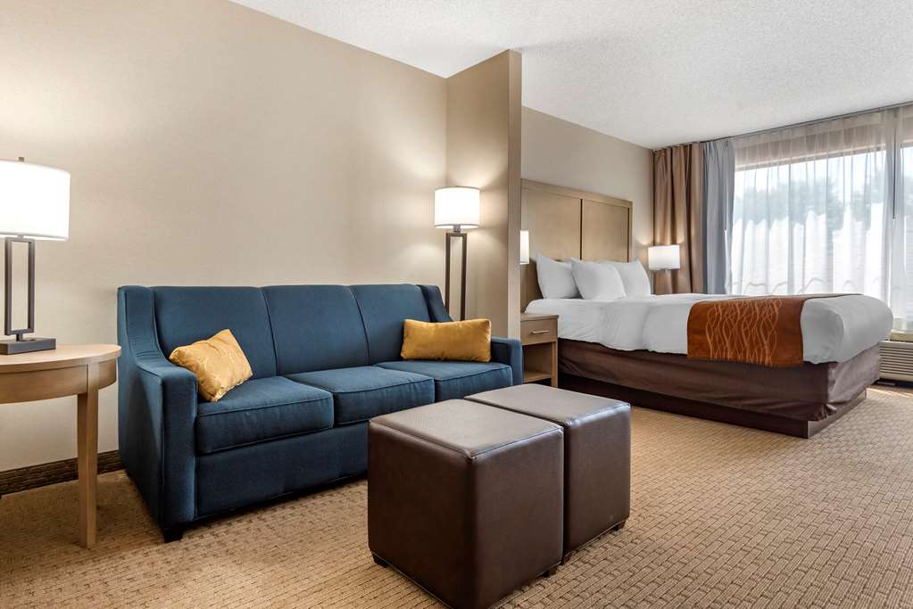 Comfort Inn & Suites Farmington Victor - photo 17